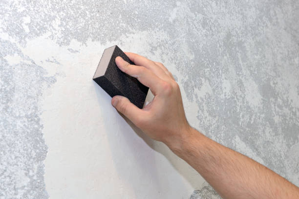 Best Mold Remediation for Rental Properties  in Carnot Moon, PA